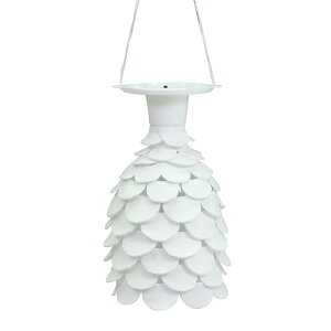 A[ebN ArTec AT˂ǁ@NX^vZbg ǂ HLbg RH }H U[ܕt p NX^v wZ  Sy ~x ˂ nhNtg  v R