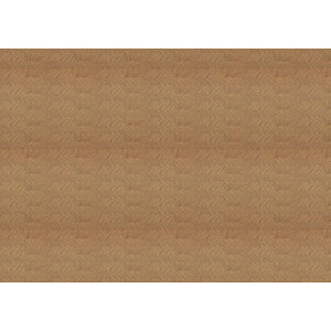 A[ebN ArTec WI}^bNV[g@@uE(ؒ)1/50@5g i