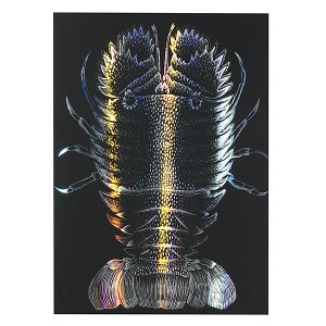 y5Zbgz A[ebN ArTec zOXNb`{[hII@190×265mm i