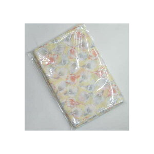 y10Zbgz K[[ʂ m CG[ 炩Eɂ₳K[[ʂ m