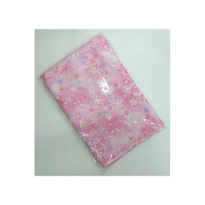 y10Zbgz K[[ʂ  sN 炩Eɂ₳K[[ʂ 