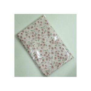 y10Zbgz K[[ʂ 쑐 sN 炩Eɂ₳K[[ʂ 쑐