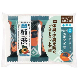 【48個セット】ファミリー石鹸 薬用 柿渋 シトラスハーブの香り 80g×2個セット
