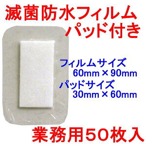 y10Zbgz jv ŋۖhtBpbht T[WbgP 60×90mm Ɩp50  pbht he[v Ԃɂ Lk Jnp htB h Ō  ~}Jnp a