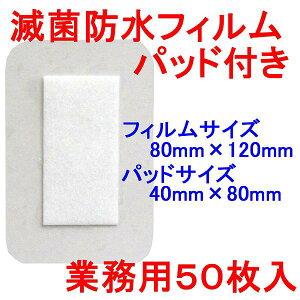 y6Zbgz jv ŋۖhtBpbht T[WbgP 80×120mm Ɩp50 Ɩp ŋ Lk  Jnp ی htB h ~}Jnp pbh T[Wbg