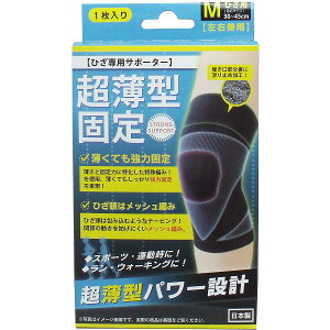 y40Zbgz ^ŒT|[^[ Ђp(Ep) MTCY 1 t[TCY  Ep S Ђp Ȃ @\  `O ͌Œ Q O S Б ^Œ 