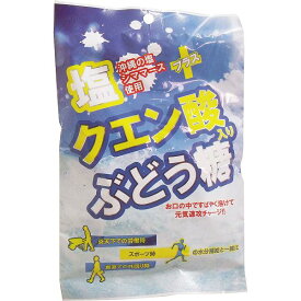 【50個セット】塩+クエン酸入り ぶどう糖 2g×20粒入