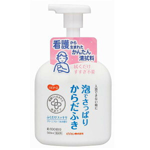 y12Zbgz nri[X Ałς肩炾ӂ O[t[̍ 500mL ς Sk |v^Cv   { XLoAN[  qpi y  {