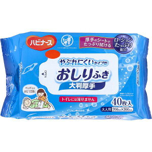 y12Zbgz nri[X Ԃɂ^Cv̂ӂ 唻 lp 40 ĝ Kӂ g₷ {  qpi V[g  TCY P[X  唻 q 