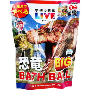 y5Zbgz w̐}ӃCu BIGoX{[ ẑ悤ȃIW̍ 1