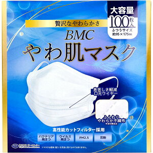 BMC 픧}XN 1g^Cv ӂTCY e 100