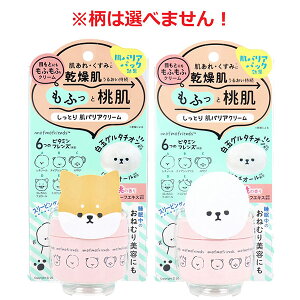 y5Zbgz ttY Ƃ蔧oAN[ ێN[ ̍ 50g