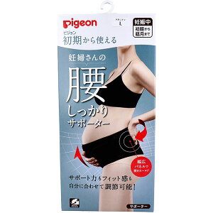 y5Zbgz sW g Dw̍T|[^[ ubN }^jeBp LTCY 1