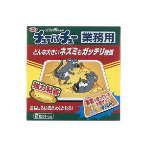 y4Zbgz lY~zCzC `[oC`[ Ɩp A[X E܁ElY~