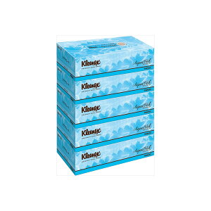 y10Zbgz NlbNXeBV[ ANAF[ 5pbN {NVA eBbV