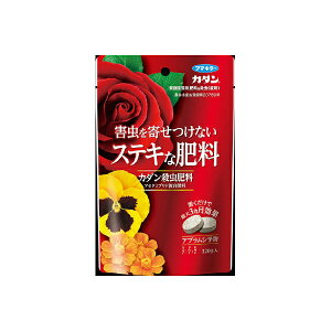 y40Zbgz J_E엿120G t}L[ |piE