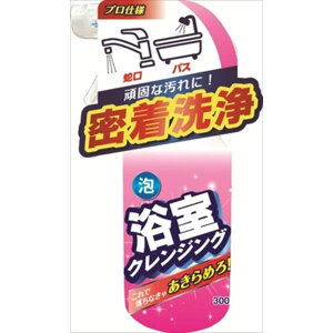 y24Zbgz NWO Fa Z܁ECp  |pi  A^Cv Cp N[i[  C 玉 AJ