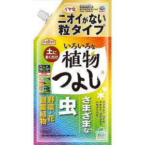 y18Zbgz A[XK[f 낢ȐA悵^Cv 650g A[X |piEE SҌ K[fjO |p  ƒ뉀|p ΍ ƒ؉ E Q쏜 낢
