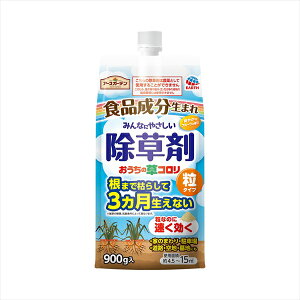 y10Zbgz A[XK[f ̑R ^Cv 900g A[X |piE