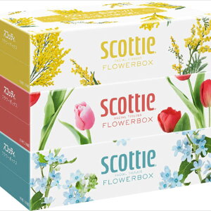 y18Zbgz SCT eBV[ t[{bNX 250g 3pbN {NVA eBbV ~ e{ Ñ ʐ^ bZ[WJ[h pi Օi Zpi ii qpi 