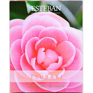 y40Zbgz GXvh i`[coLLbh {  ԓ N[[bg GXeo fBt[U[ i`[ GXv  GXvhi`[ F A} { c