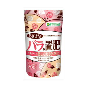 y10Zbgz oCt o̒u nC|lbNXWp |piE SҌ K[fjO |p A rMi[ KN nC|lbNX |  엿