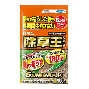 y12Zbgz t}L[ J_I[L[900g I[L[  K[fjO I[L[ J_V[Y   \h V[Y ԏ 