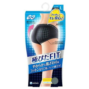 �y3�Z�b�g�z �\�t�B �ɂ҂�FIT�i�`�������t�B�b�gL�u���[�O���[