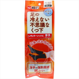 ̗₦ȂsvcȌC M[\bNX ubN t[TCY ѐ C