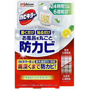 JrL[CɒuhJrWF ₳VgX̍ { W\