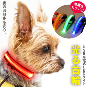 犬 光る首輪 ペットの人気商品 通販 価格比較 価格 Com