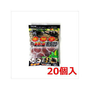 【3個セット】 ワイドカップ 樹液の森育成20樹液カブトクワガタ虫昆虫 安心素材
