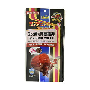 y6Zbgz L[ qJ Hikari `Exr[S[h S  300g  TJi SN Si pt[h ybgt[h ANAE Ϗ܋p t[h GT ̉a Y 