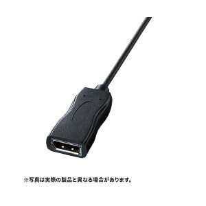 TTvC USBTypeC-DisplayPortϊA_v^ AD-ALCDP01 USB Type C-DisplayPortϊA_v^ 