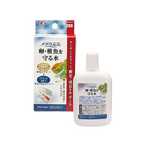 y3Zbgz WFbNX _JC Et鐅 e 80mL GEX ANAE h{⋋ ybgpi ɐB Ϗ܋p ߂ LgT Y Ϗ܋ pi ObY { t 