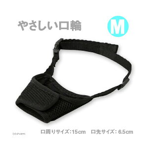 y6Zbgz A[Xybg nh[ ₳ M ^p  A[XEybg ~jp  ybg Sf