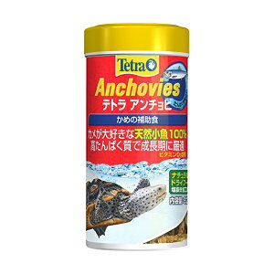 y3Zbgz XyNguYWp eg Tetra egA`r 32g ߂̂ ςŐɍœK r^~Y i`hCt[h J GT V[t[h t[