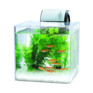 XyNguYWp eg Tetra vX`bN Âȃ_JZbg SF-17KF ANAE _J MыEϏ܋ SN XyNg Zbg Zbg ANAE