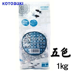 y3Zbgz H| a ܐF 1kg SN RguL kotobuki RguLH| ꏰ Ϗ܋ ybg  _J   Sf