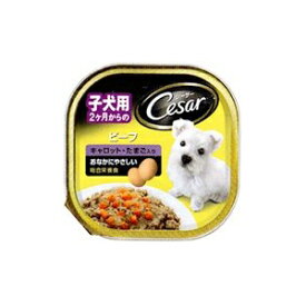 楽天市場 シーザー 子犬用 ドッグフードの通販