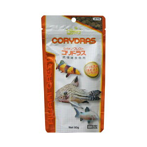 y5Zbgz L[ qJ Hikari NXgRhX ꐱGHp 80g V[t[h ybg TJi SN RhX Mыpt[h ANAE Ϗ܋p NXg GT Mы 