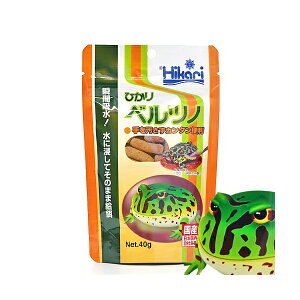 L[ Hikari qJЂxcm 40g xcm XeBbN ঒ SN Si GT  Y Ђ t[h { ybg JG  ͂  Sf i1̂l