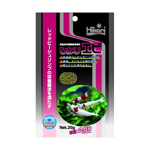 y3Zbgz L[ Hikari qJЂGr 20g Gr TJi xr[ ^ Mыpt[h r[Vv qJ GT pi t[h ybg  Sf