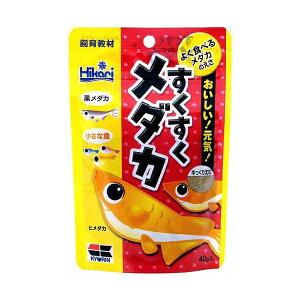 y3Zbgz L[ qJ Hikari _J 40g  TJi SN pt[h GT ߂ 狳 t[h ybg Sf