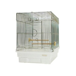 LhH z[GC 21̂ zCg  SN  o[hA  Q[W tB` p P[W ZLZC  Sf i1̂lił