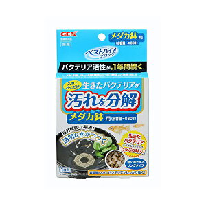 WFbNX xXgoCIubN _Jp e 1 gp WEC GEX Ϗ܋pi ubN xXgoCI ANAE CAEg oNeA ybgpi u Ϗ܋p