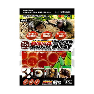 y10Zbgz tWR ChJbv t̐X 琬 5016g×50 ybgp 50 x1 pe  N Si [[ JugV ybgp GT e [[ NK^  Sf