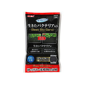 WFbNX xXgoCITh 1.5L e TCY 2 4mm gp W GEX Ϗ܋pi xXgoCI ANAE ybgpi \C pi ꏰ p Mы Y Wp pi 