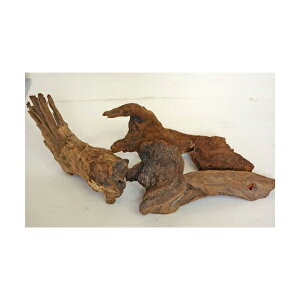 �y6�Z�b�g�z ���R���� ���� �}���J�� �j�b�\�[ ���ƕ� ���S�f��