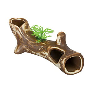 y6Zbgz Xh[ Vǂ ~j Sf